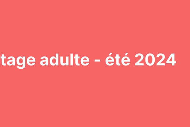 bannière stage adulte été 2024